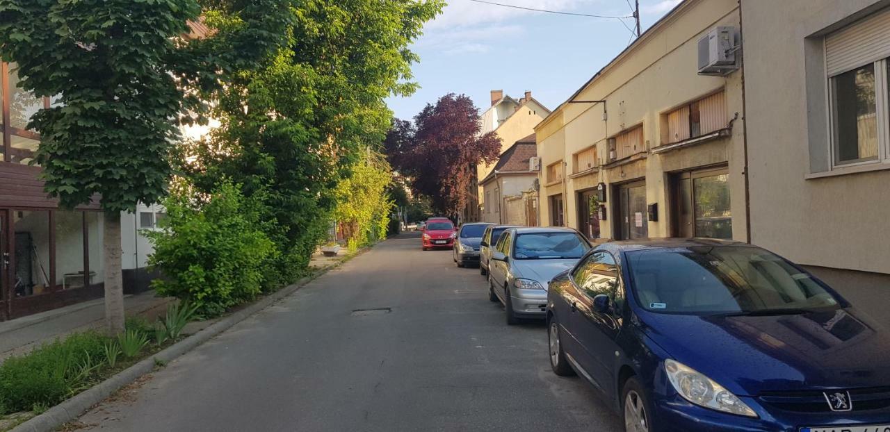 Lotti Apartman كيسكونهالاس المظهر الخارجي الصورة